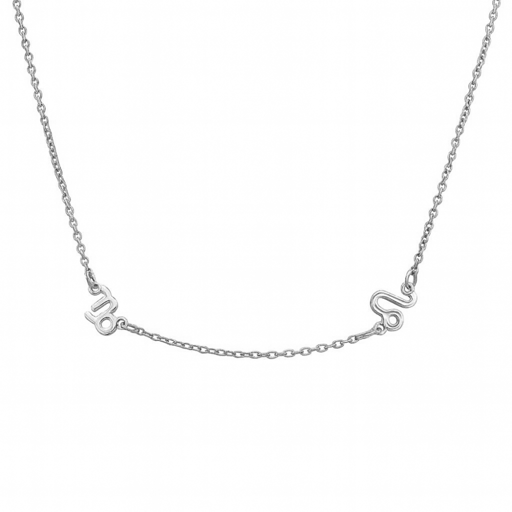 Two Zodiac Signs Necklace